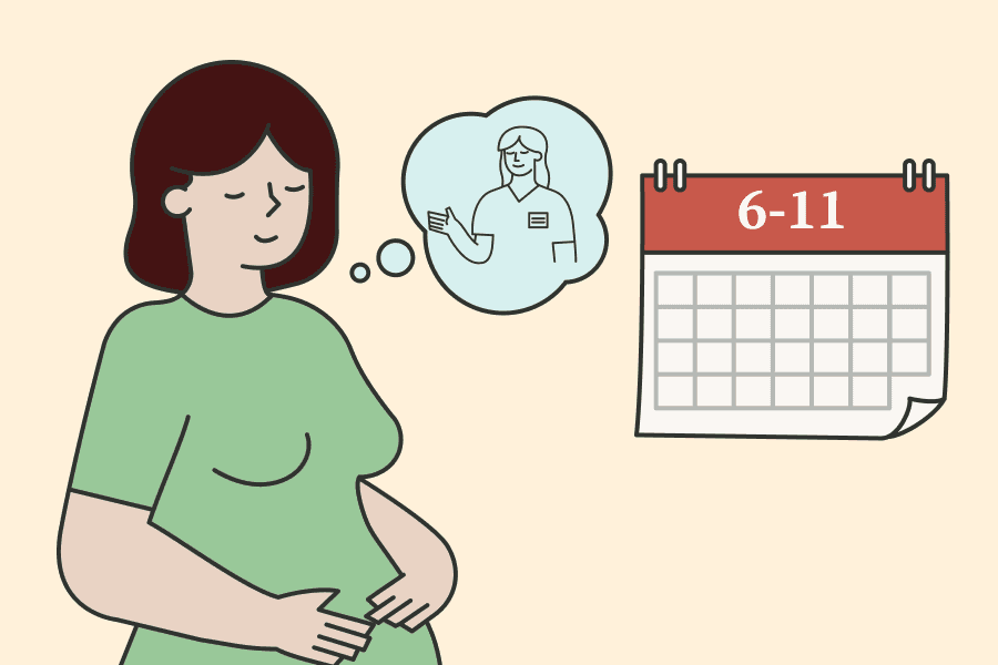Visit midwife_what to expect