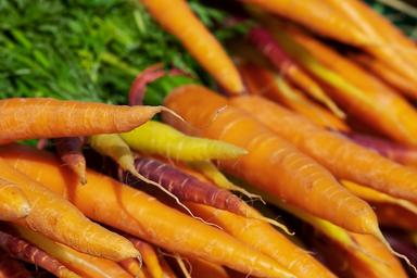 colorful-carrots-3440368 960 720