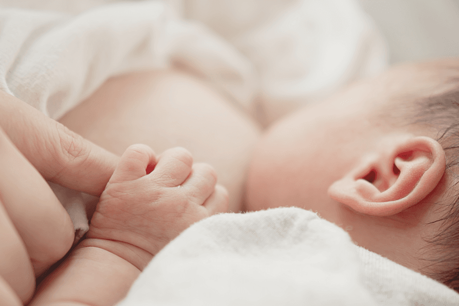 Sleeping school - Schedule