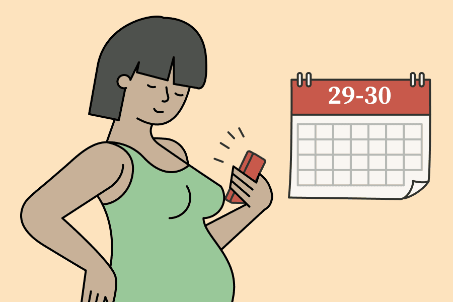 Visits midwife 29-30