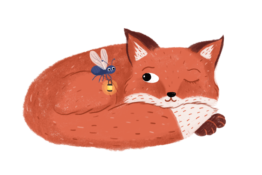Sleeping school - Lillis räv