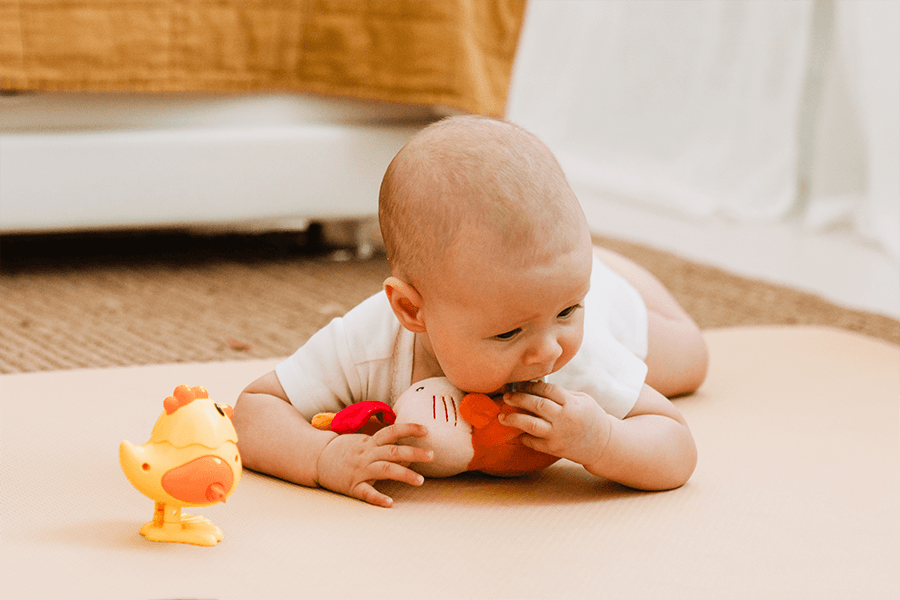 AdobeStock 542272885 2