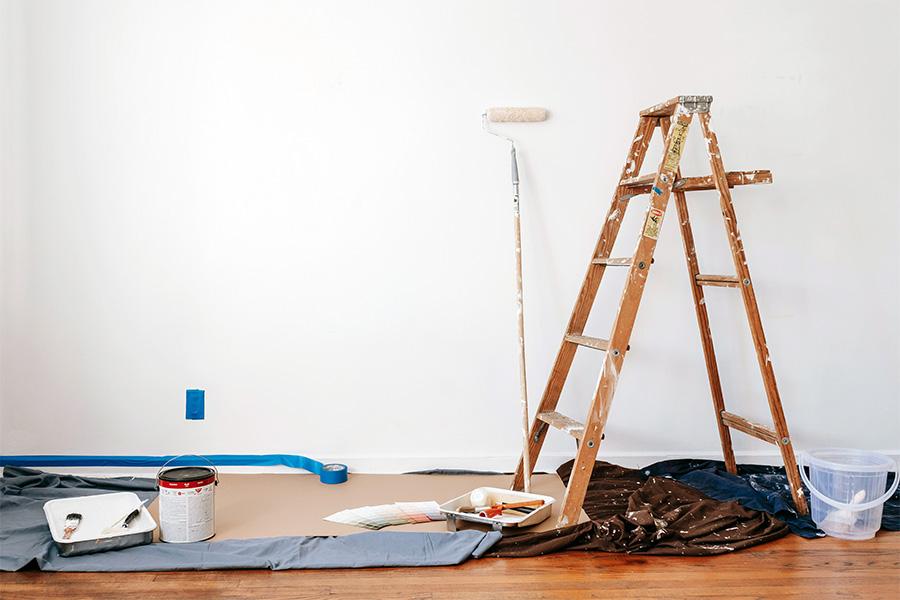 pexels-blue-bird-7218525-3